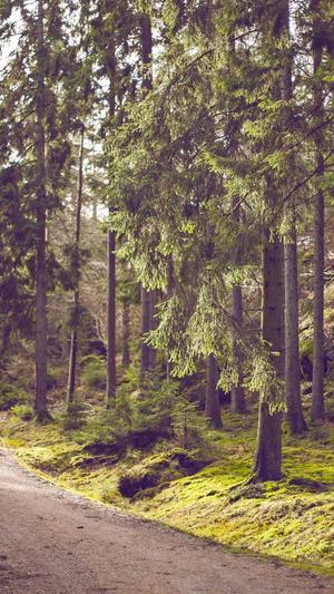 企业网站免费建设截图2