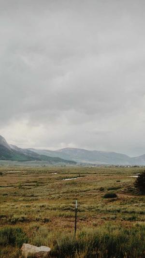 SEO 站长工具截图3