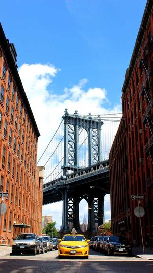 站长工具seo伪原创截图1