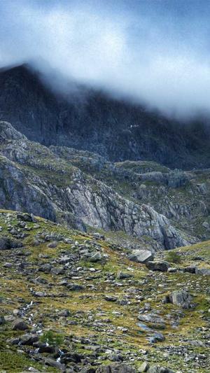 蜘蛛池原理是什么样的截图3