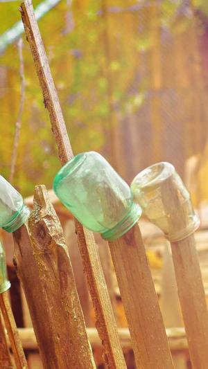 seo分析工具 search截图3