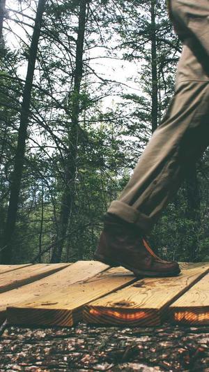 超级蜘蛛池租用截图2