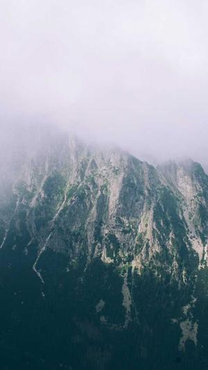 重庆网站seo哪家好截图1