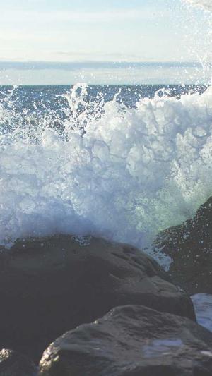 嘉兴seo优化截图1