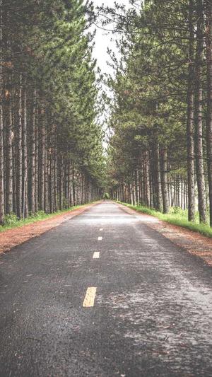 蜘蛛池秒收录截图2