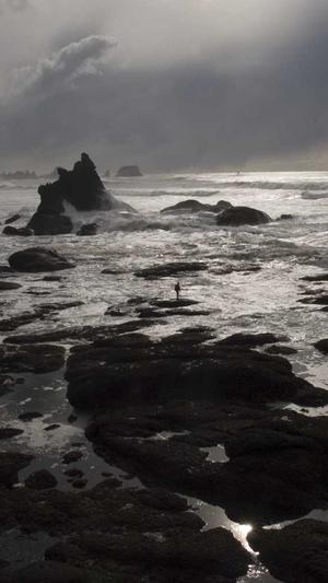 蜘蛛池有什么作用吗截图1