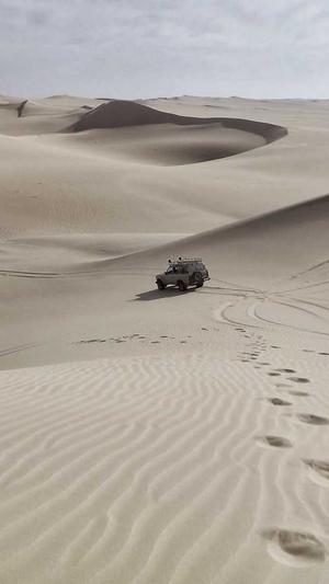 seo优化视频截图2