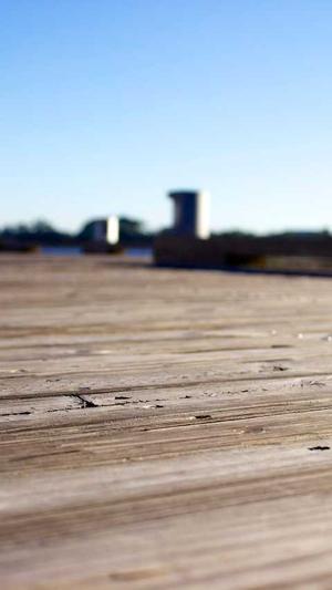 在线SEO工具截图4