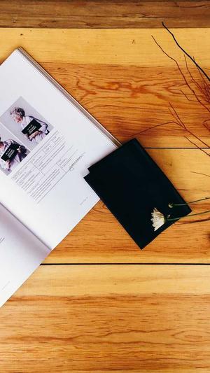 外推蜘蛛池留痕截图3