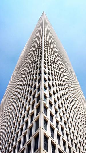 SEO数据工具截图3