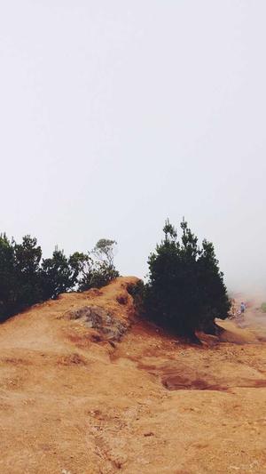 泉州网站建设网站截图3