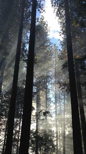 泛目录页面截图4