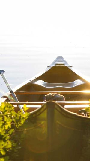 绵阳网站建设截图1