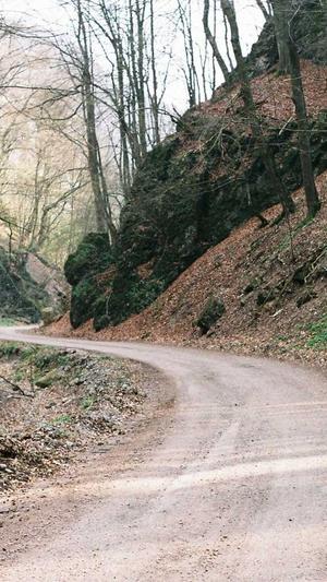 免费体验蜘蛛池的网站截图4