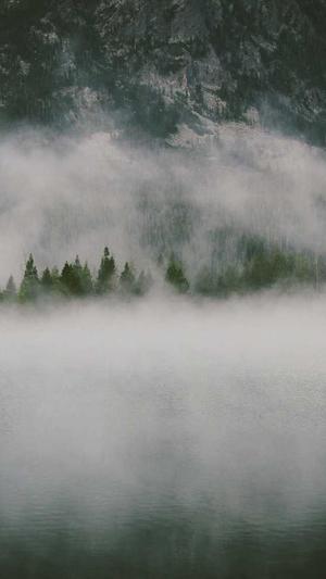 seo排名工具seo优化截图3