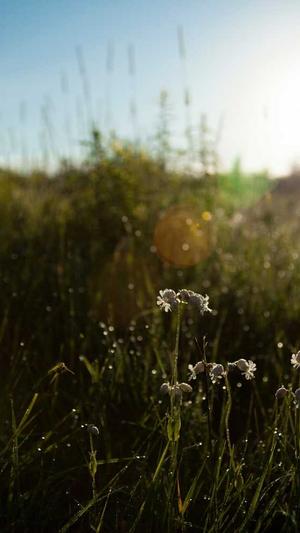 安康市网站建设截图1