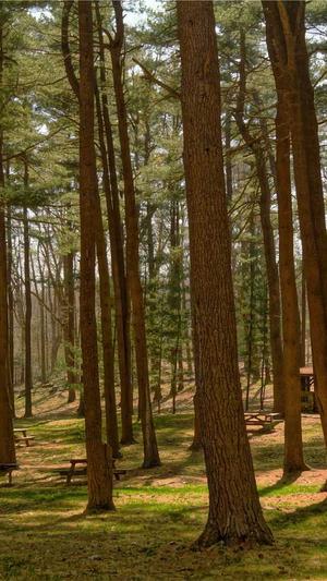 福清网站建设截图1