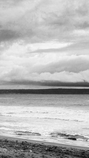 蜘蛛池免费营销截图1