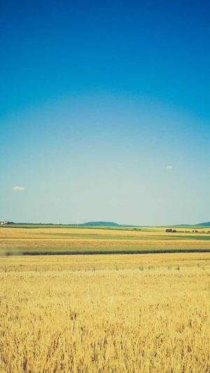 网站建设团队截图1