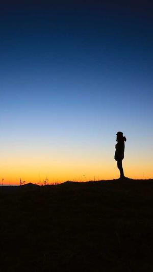 seo优化软件截图3