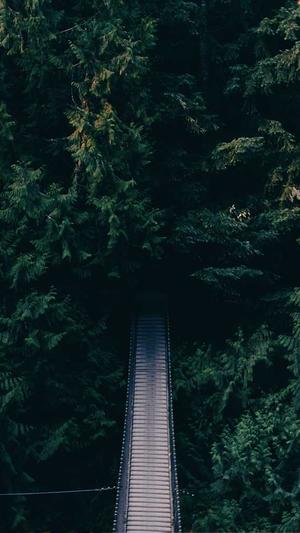 蜘蛛池搭建赚钱截图1