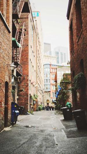 在线观看蜘蛛池截图2