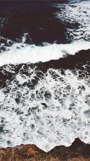 站长工具seo推广秒收录截图1