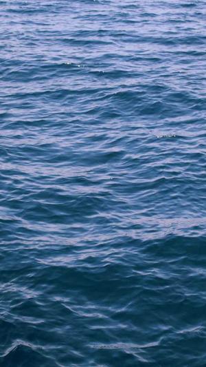 seo蜘蛛池真的有用吗截图1