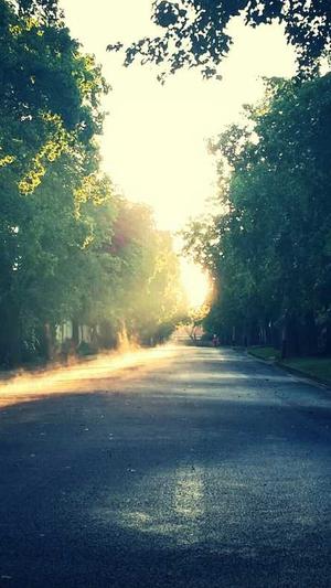 站群,泛目录截图4