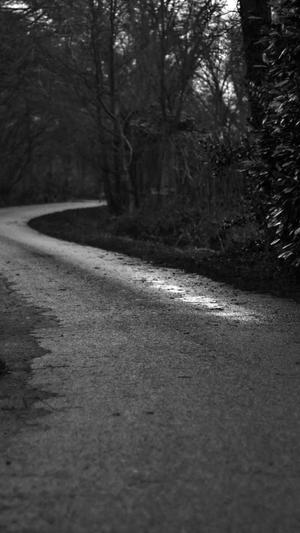 seo工具哪个好截图2