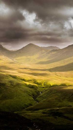 浙江蜘蛛池出租服务截图3