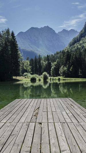 阿里蜘蛛池模板截图2