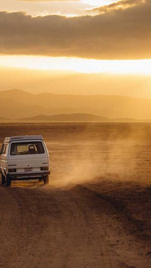 seo蜘蛛池制作截图3