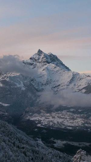 关键字排名工具 seo截图2