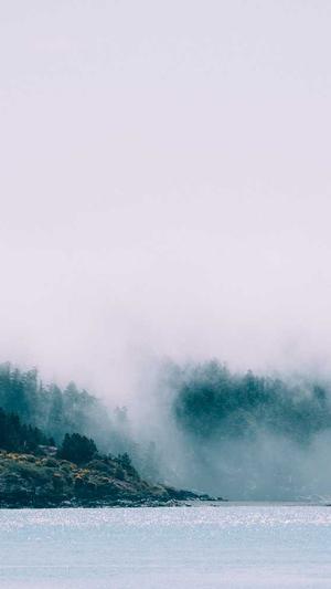 seo代码优化截图5