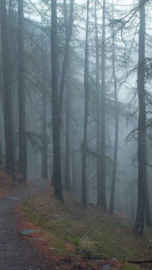 兰州网站建设截图1