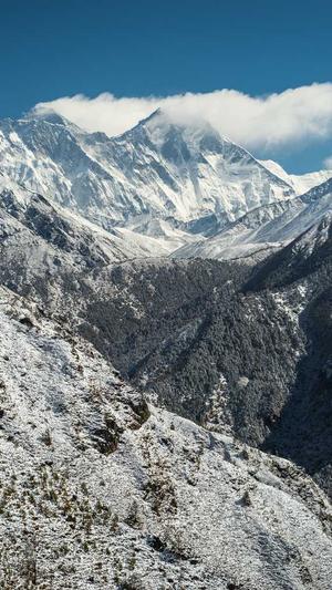 网站建设开发截图3