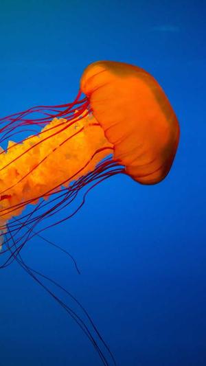 最蜘蛛池好用吗截图4