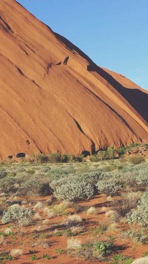 新民市蜘蛛池接单截图2