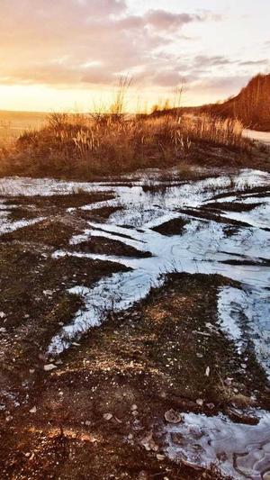 seo关键词工具截图3