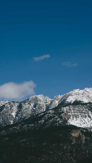 seo蜘蛛池关键词劫持截图1