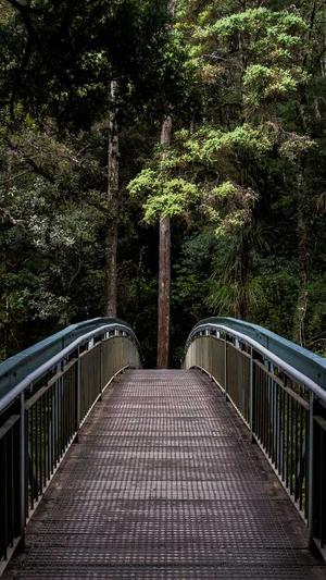 seo优化软件截图4