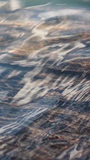 山西头条蜘蛛池出租截图1