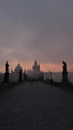 动态蜘蛛池截图3