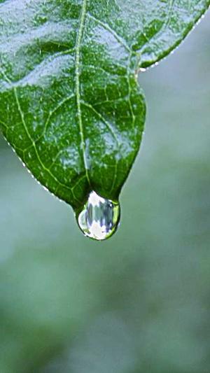 网站排名工具seo截图4