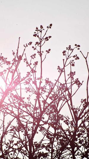 河北网站seo截图5