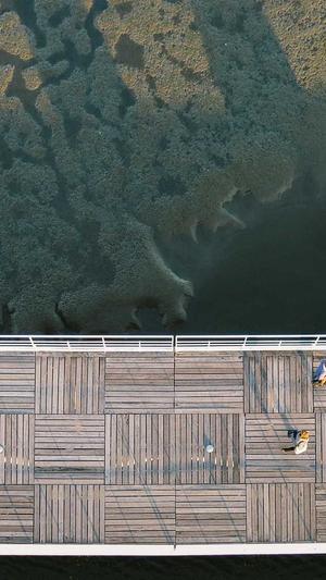 seo数据采集的工具截图4