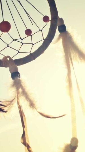 谁有百度蜘蛛池的网截图2