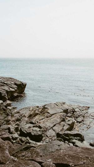 基础网站建设截图1