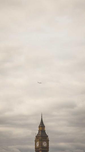 小旋风万能蜘蛛池x5截图4